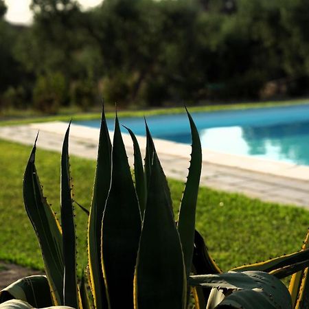 Accogliente Villa Con Piscina Caltagirone Εξωτερικό φωτογραφία