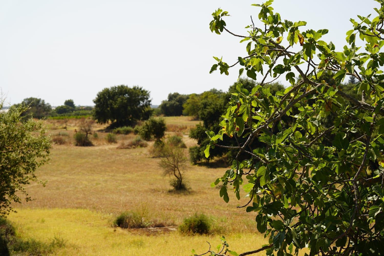 Accogliente Villa Con Piscina Caltagirone Εξωτερικό φωτογραφία