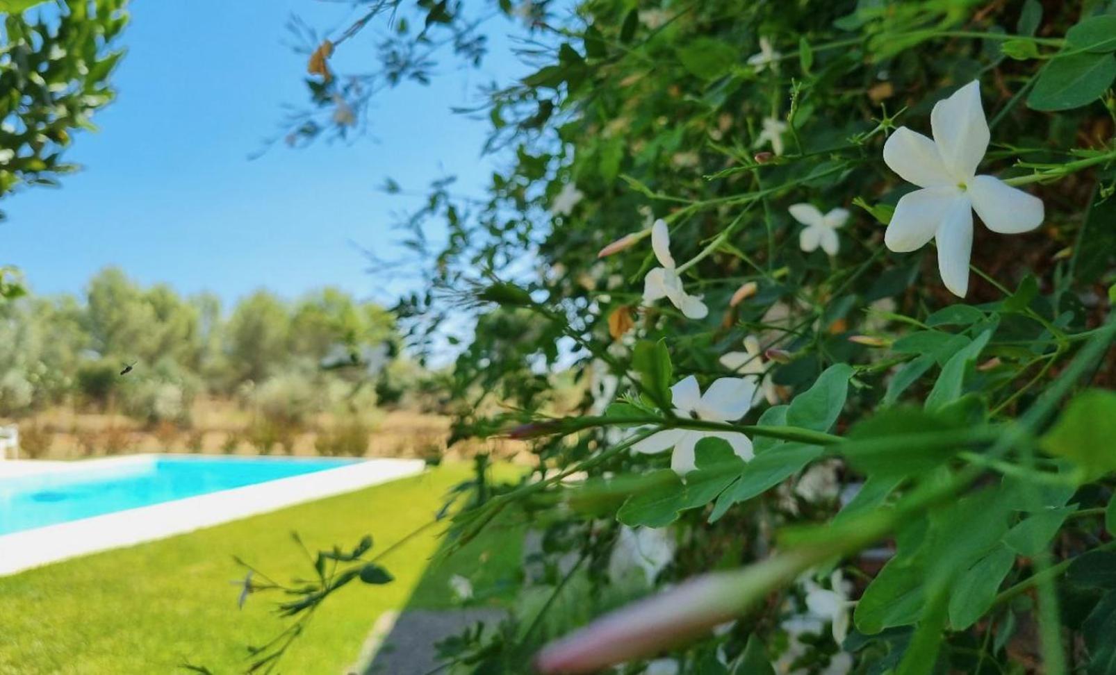 Accogliente Villa Con Piscina Caltagirone Εξωτερικό φωτογραφία