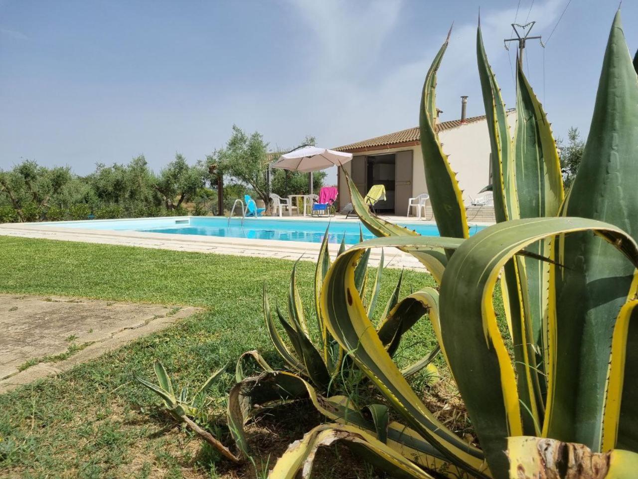 Accogliente Villa Con Piscina Caltagirone Εξωτερικό φωτογραφία