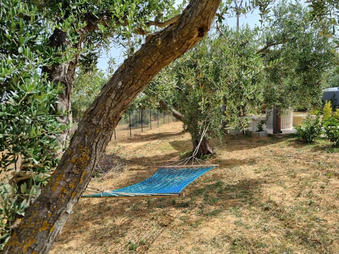 Accogliente Villa Con Piscina Caltagirone Εξωτερικό φωτογραφία