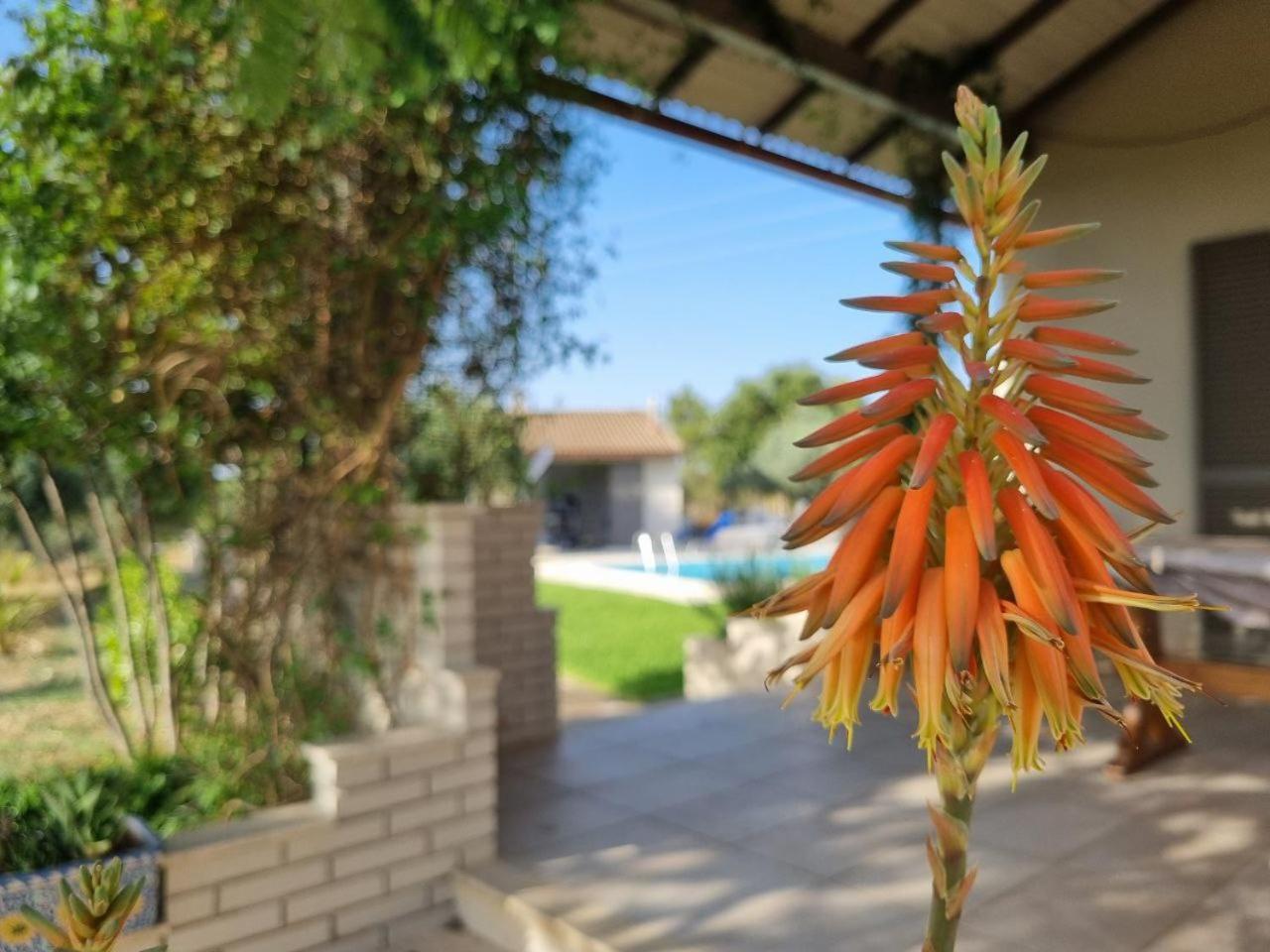 Accogliente Villa Con Piscina Caltagirone Εξωτερικό φωτογραφία